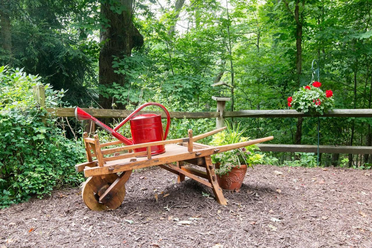 Lazy Bear Lodge Valle Crucis Esterno foto